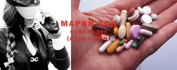 индика Беломорск