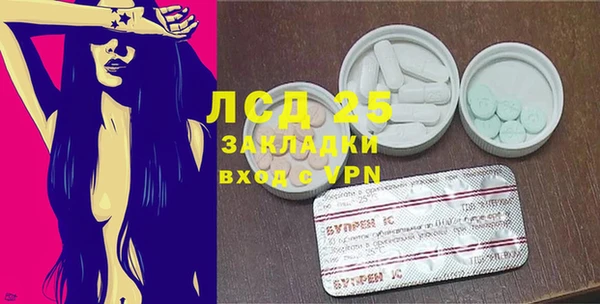 индика Беломорск