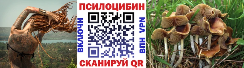 Галлюциногенные грибы Psilocybe Купить Добрянка